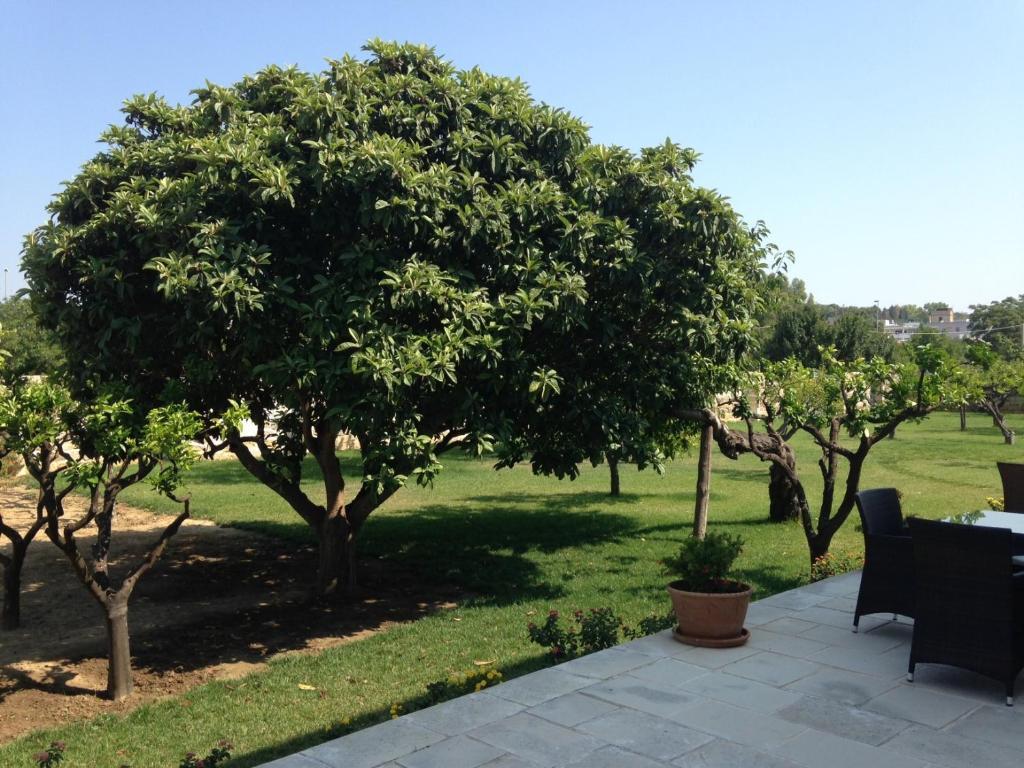 Masseria Carignani Tuglie Exteriér fotografie