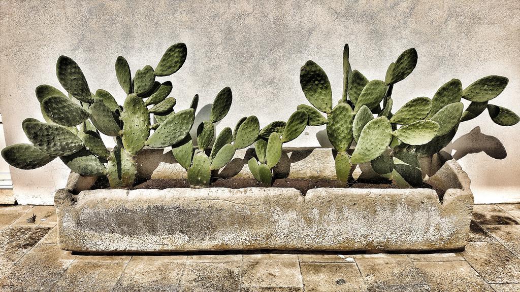 Masseria Carignani Tuglie Exteriér fotografie